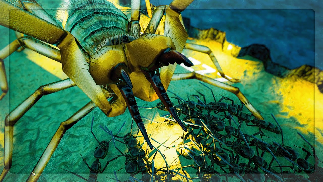 Matabele Ants VS SUN SPIDER TITAN in Empires Of The Undergrowth (EXCLUSIVE World Wide Reveal)