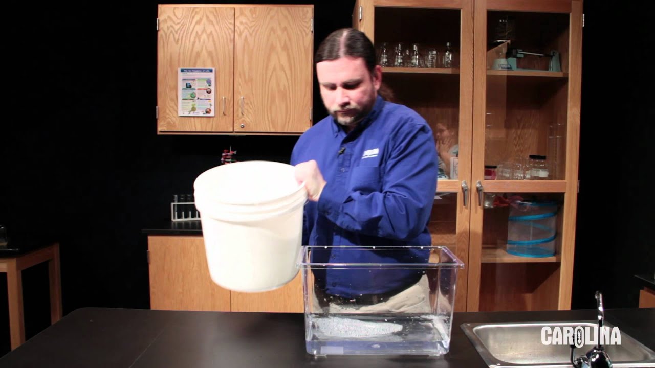 Care and Handling of Tadpoles