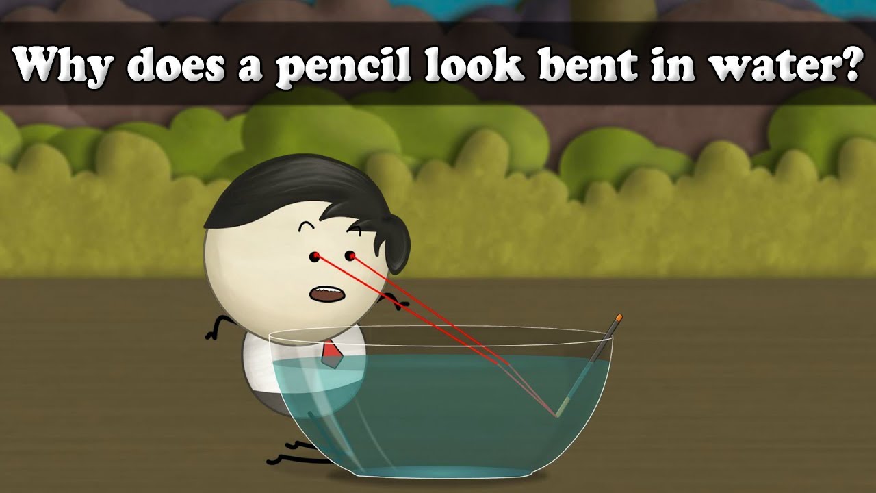 Refraction of Light - Why does a pencil look bent in water? | #aumsum #kids #science
