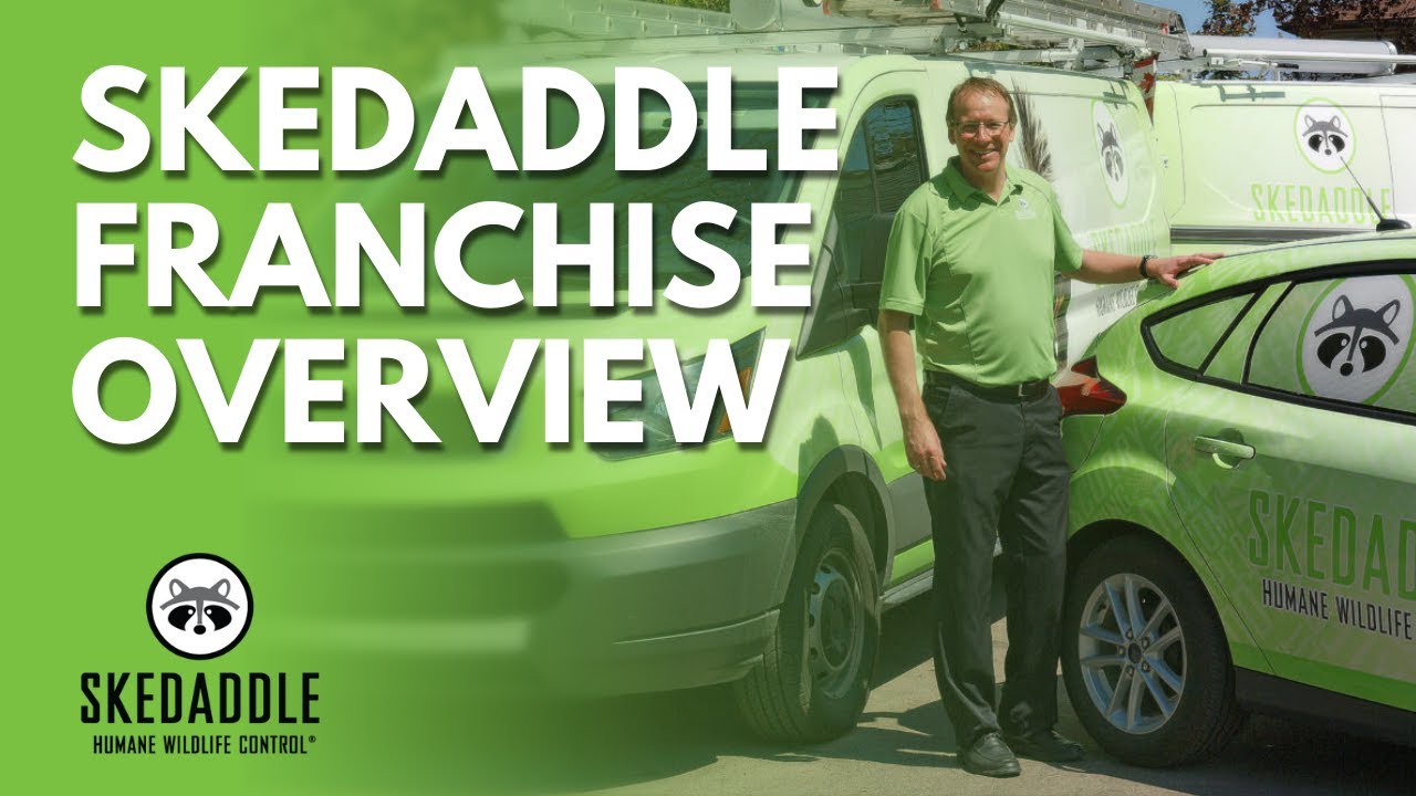 Skedaddle Franchise Overview