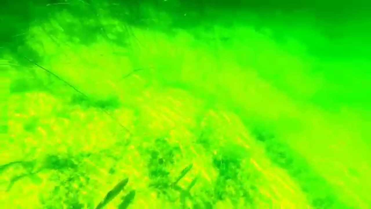 Underwater footage of fish @ Hosmer Lake- OR (GoPro)