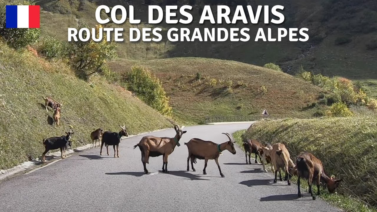 Col des Aravis 🇫🇷 RdGA - Route des Grandes Alpes 4 &bull; Col de la Colombi&egrave;re ➜ Col des Aravis
