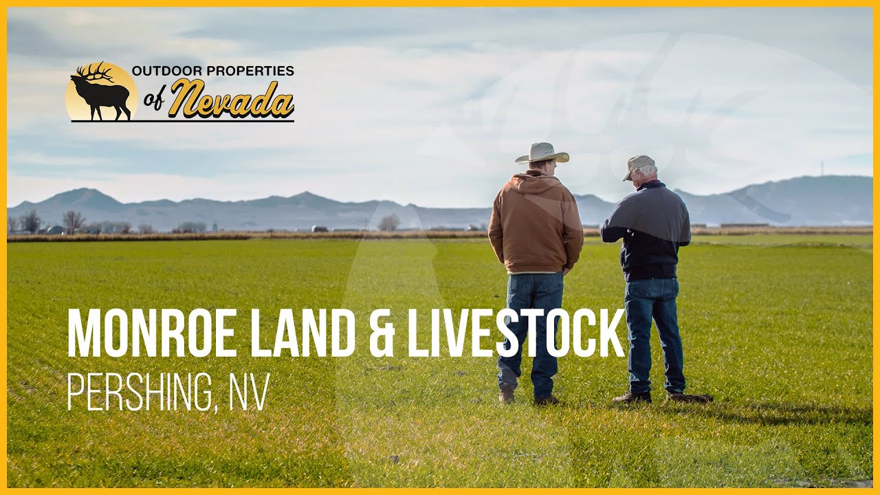 Monroe Land and Livestock | Lovelock, Nevada
