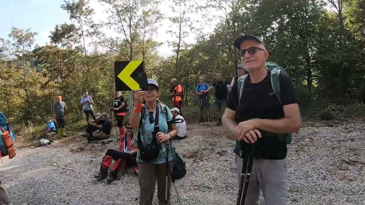 Artemea yolu festivali şaroluk beyoluk mescit rotası