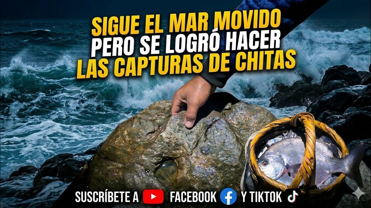 SIGUE EL MAR MOVIDO PERO LOGRE  HACER ESTAS CAPTURAS  DE CHITAS 