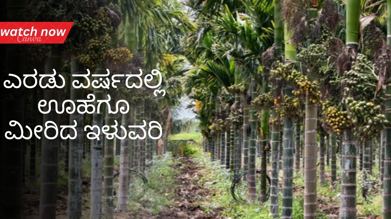 ಶಿವಮೊಗ್ಗ ಜಿಲ್ಲೆ ಶಿರನಾಯಕನ ಕೊಪ್ಪ ಗ್ರಾಮ 6363228060 #shivamogga #davanagere #chitradurga #kadur #udupi 
