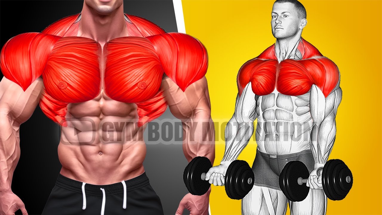 The Best Upper Body Workout (Chest, Shoulder and Back)