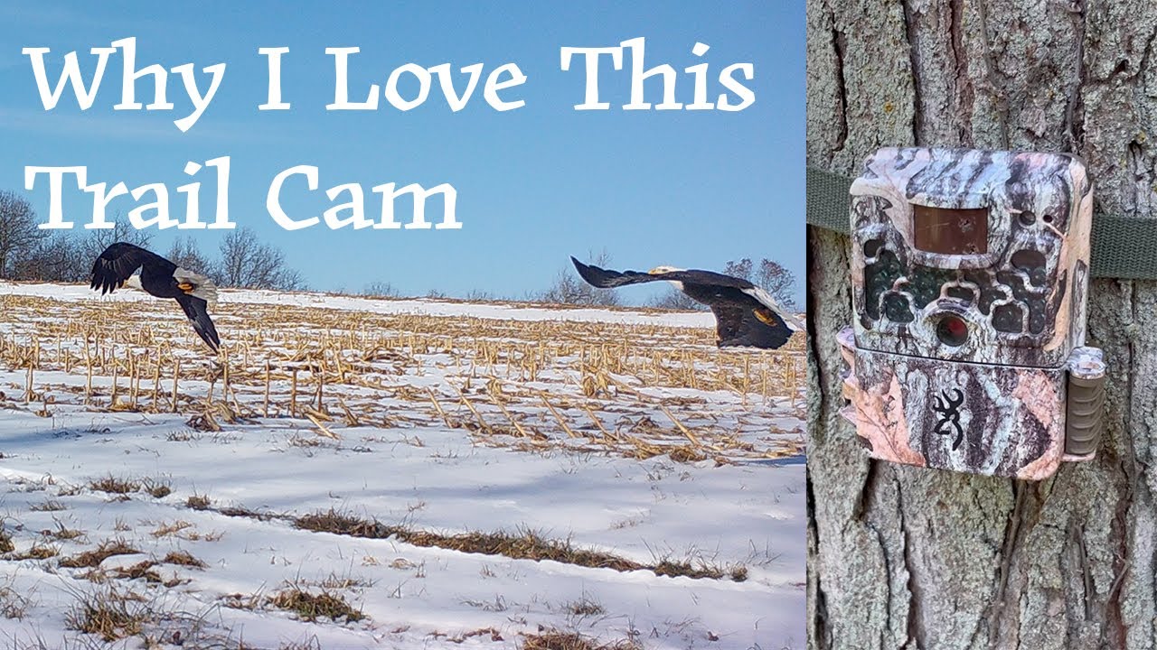 My Favorite Trail Camera | Browning Strike Force Review | Farming For Whitetails