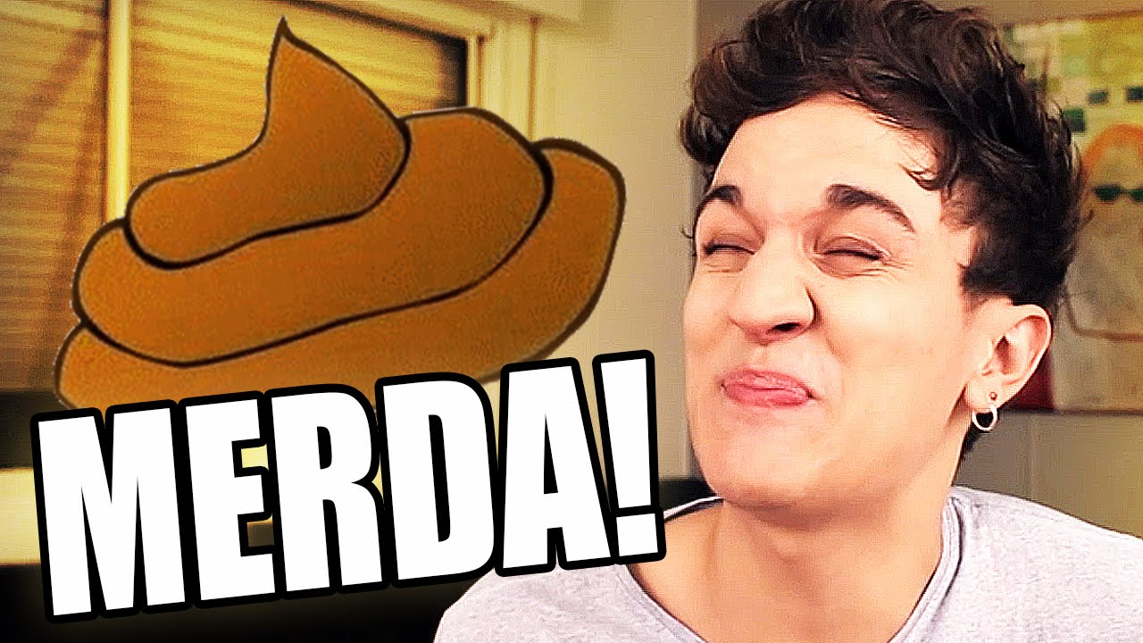 O DIA EM QUE EU CAGUEI PELA JANELA