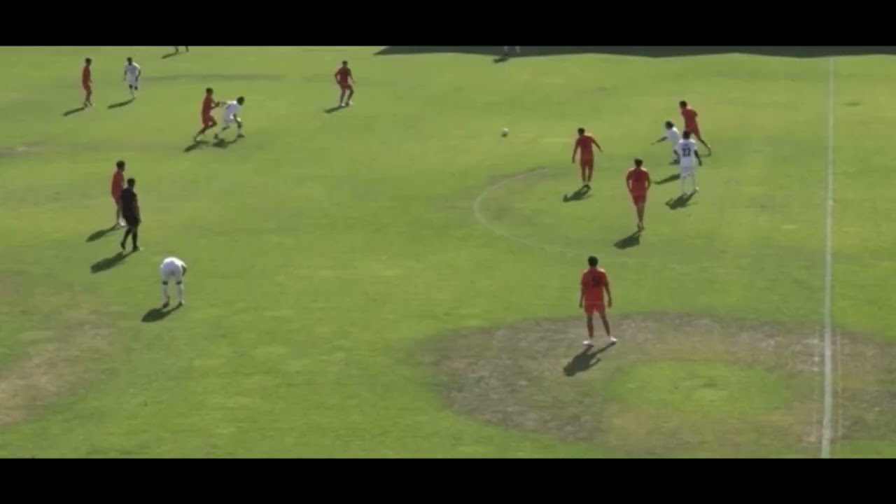 S.H. - Highlights