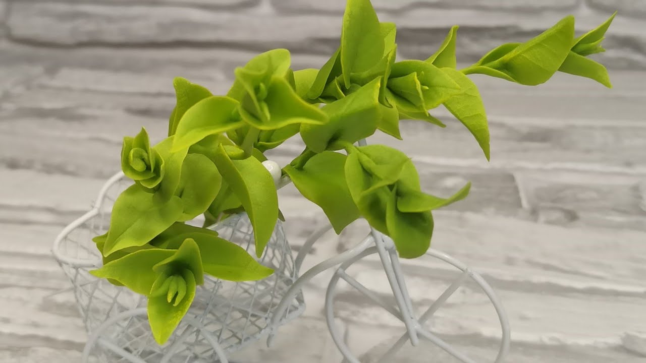 МК Веточка зелени из холодного фарфора/a sprig of greens from cold porcelain