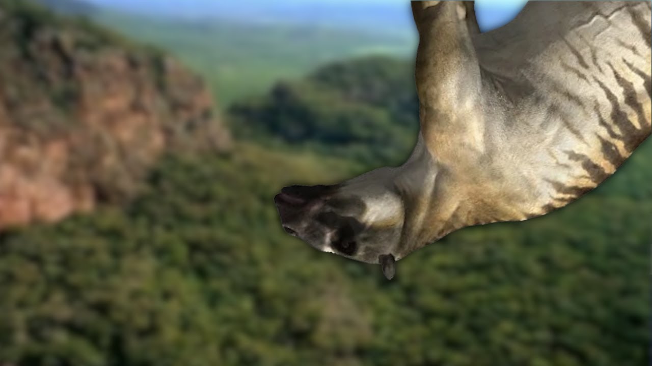 Die bekifften Erben der Dinosaurier (YTK Doku) | Youtube Kacke oder so