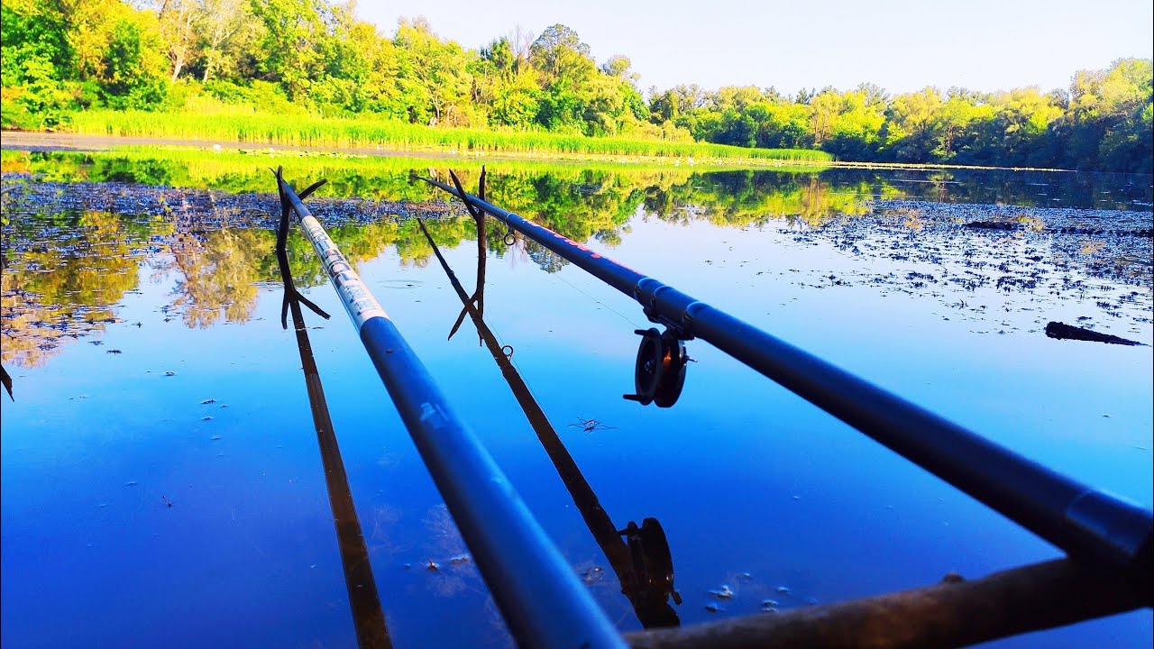 🐟🐟КРУПНИЙ КАРАСЬ в СПЕКУ!!! 🎣  Рибалка на поплавок. Ловля карася на удочку. Рибалка на карася.