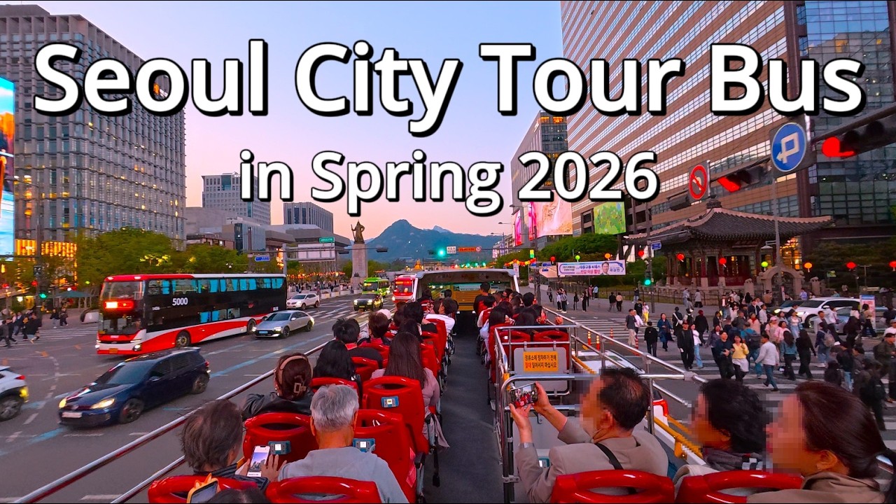 서울시티투어버스 탑승은 이즈음이 최고! 4KㅣASMRㅣNOISEㅣSpring is the perfect time to ride the Seoul City Tour Bus!