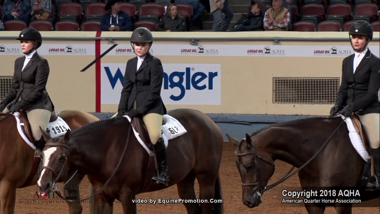 2018 AQHA World Show Ama  Hunt Seat Equitation, L3 Finals   Rail