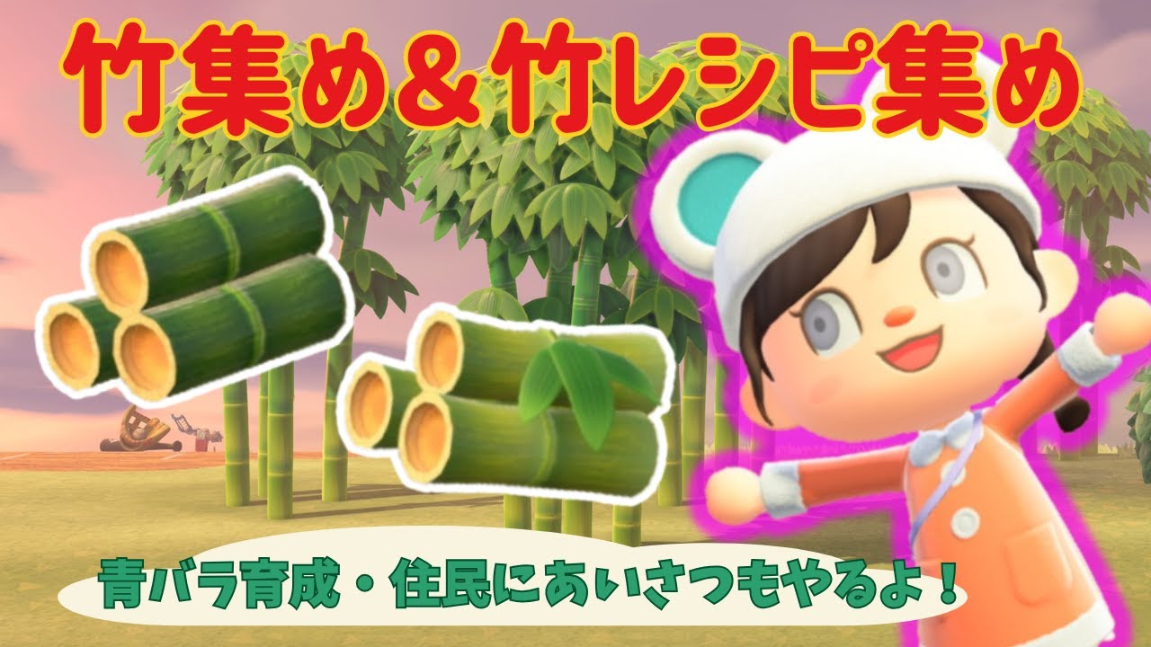 【あつ森】　竹レシピコンプを目指して！家事お疲れ様ライブ