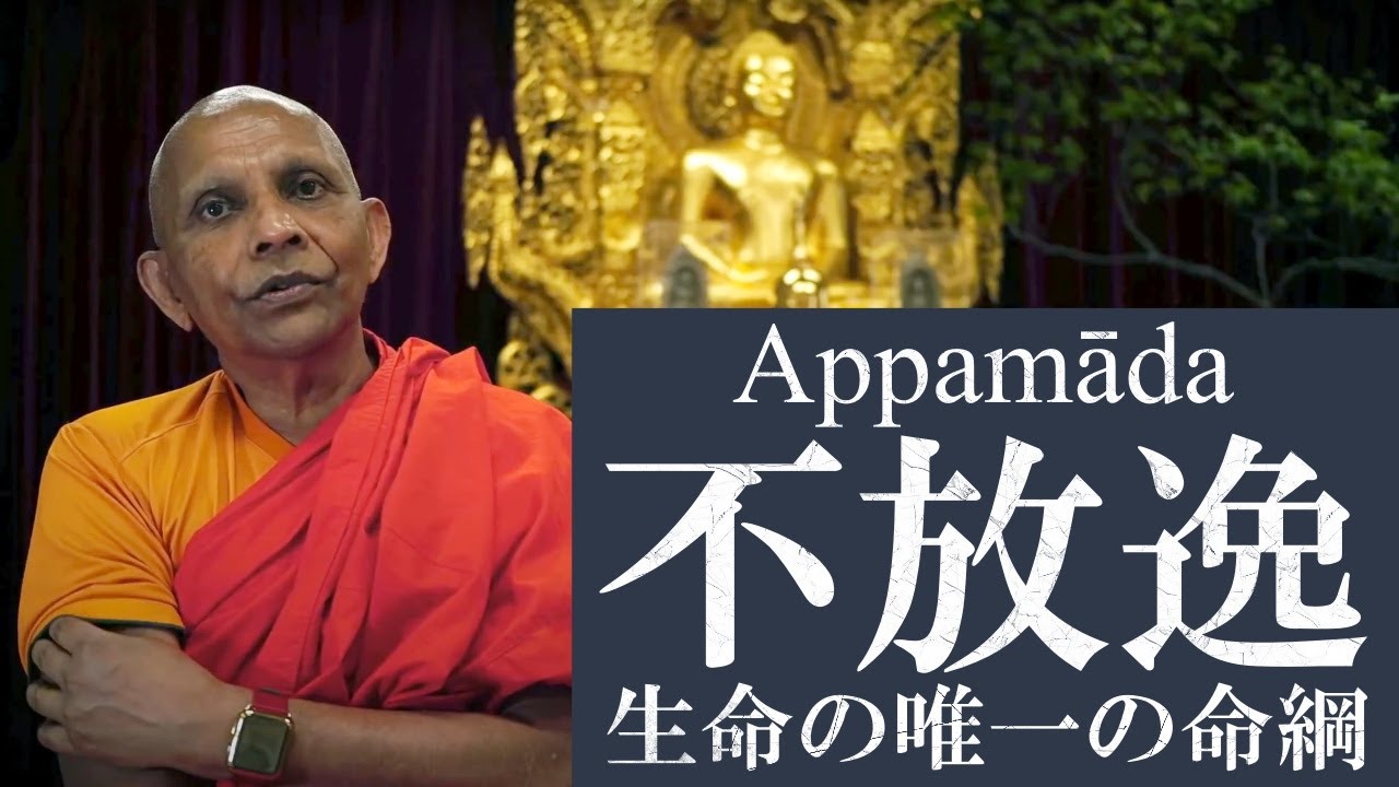 不放逸（Appamāda）　生命の唯一の命綱　相応部「不放逸経」を読む｜スマナサーラ長老のパーリ経典解説とQ&A（14 June 2020 ゴータミー精舎）#jtba #ブッダのことば