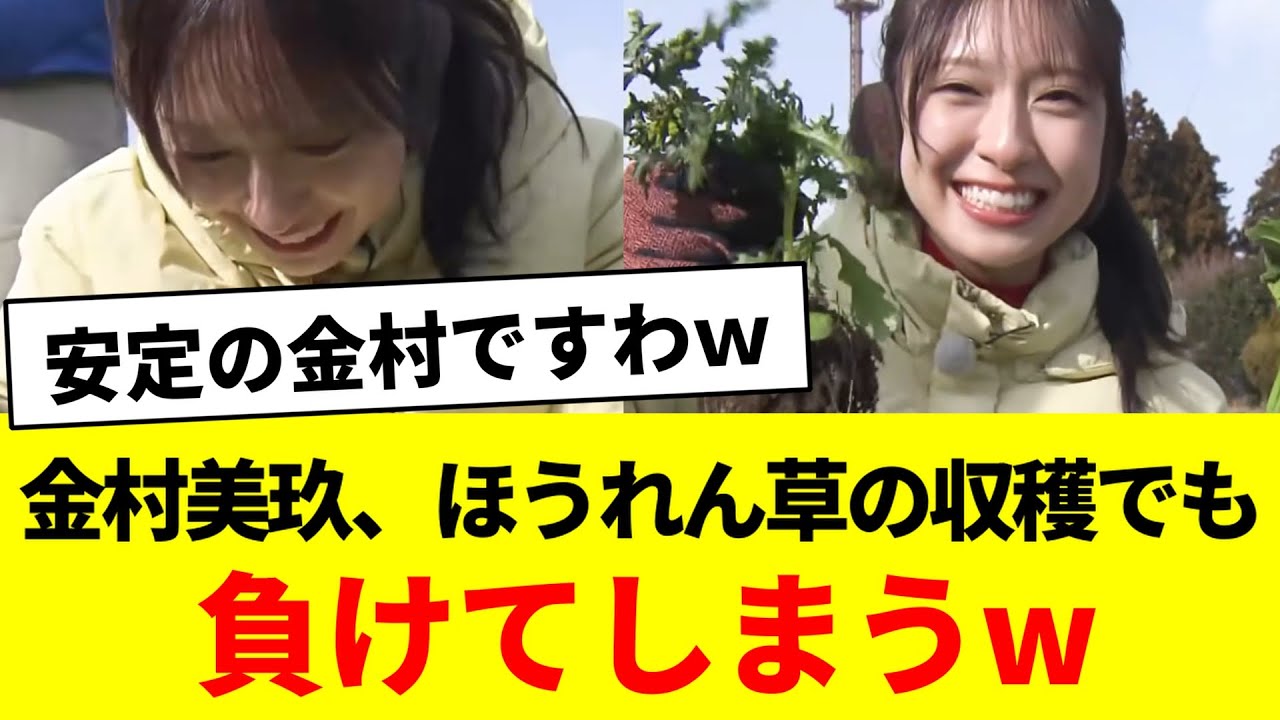 金村美玖、ほうれん草の収穫でも負けてしまうｗ【青空レストラン・日向坂46・日向坂で会いましょう・日向坂になりましょう】