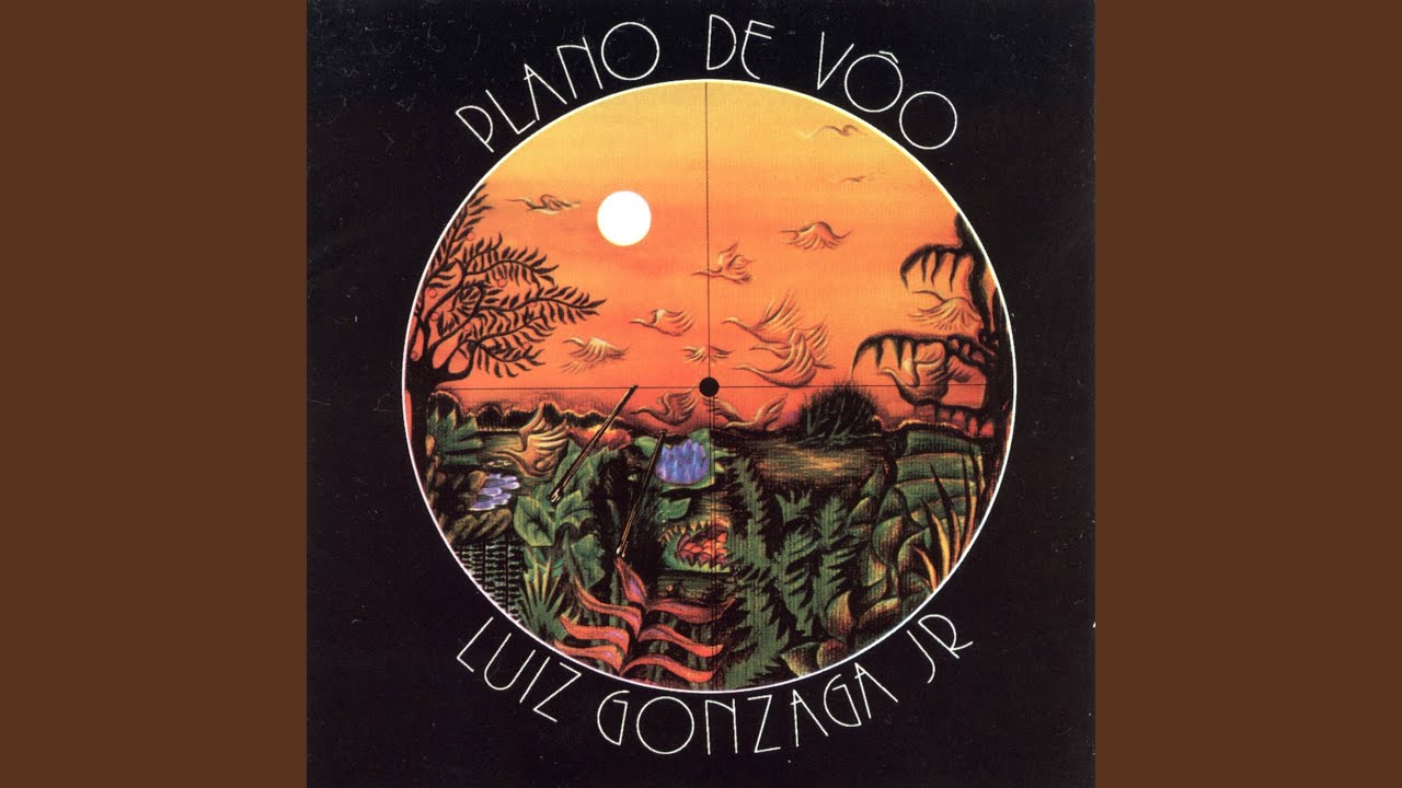 Plano De Vôo