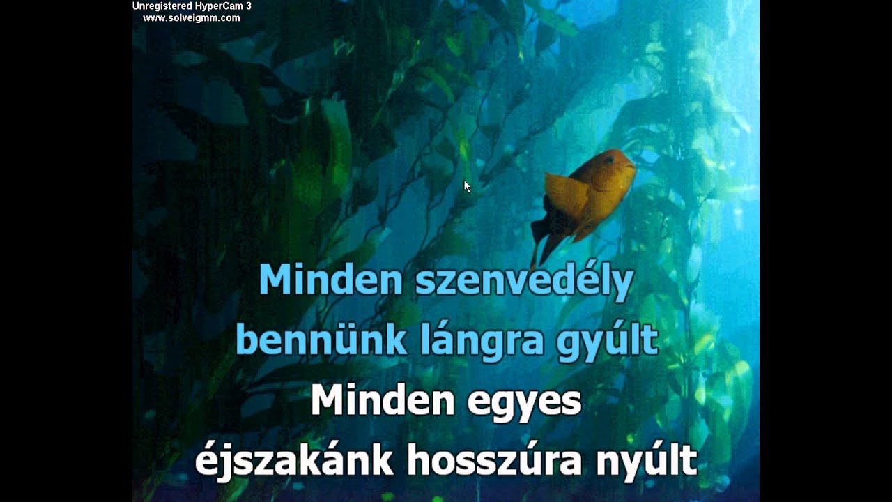 Kis Grófó -Olaszosan(karaoke)