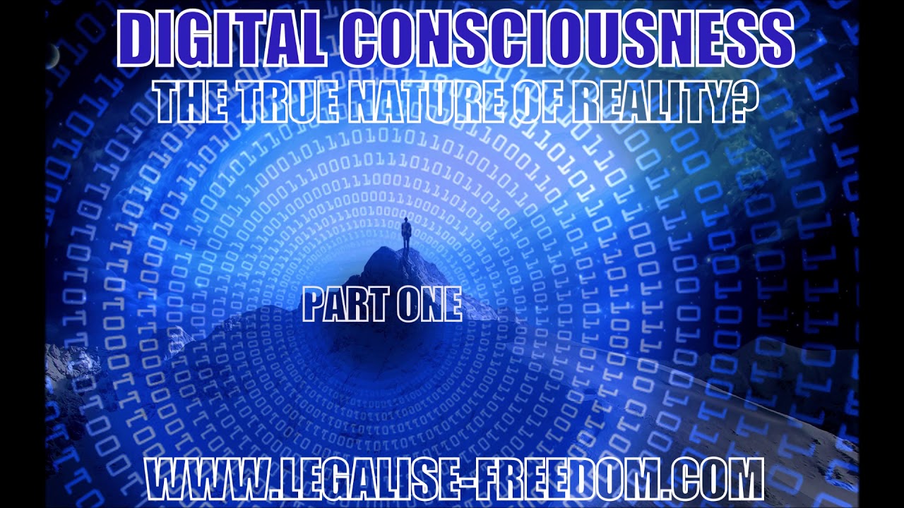 Jim Elvidge - Digital Consciousness: The True Nature of Reality? Part One