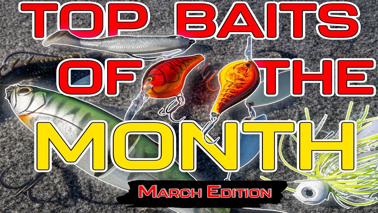 TOP BAITS of the MONTH ( March 2025 Edition 4K )