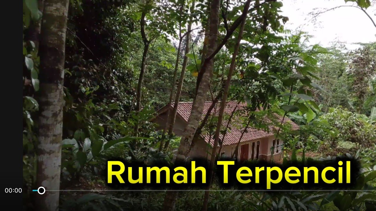 Rumah  Terpencil di Kampung Manggis.setiap Rumah punya pohon manggis bikin betah