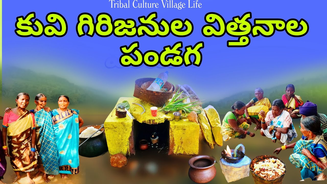 Kuvi Tribal Festival | Vittanala Panduga | AP Tribal Culture