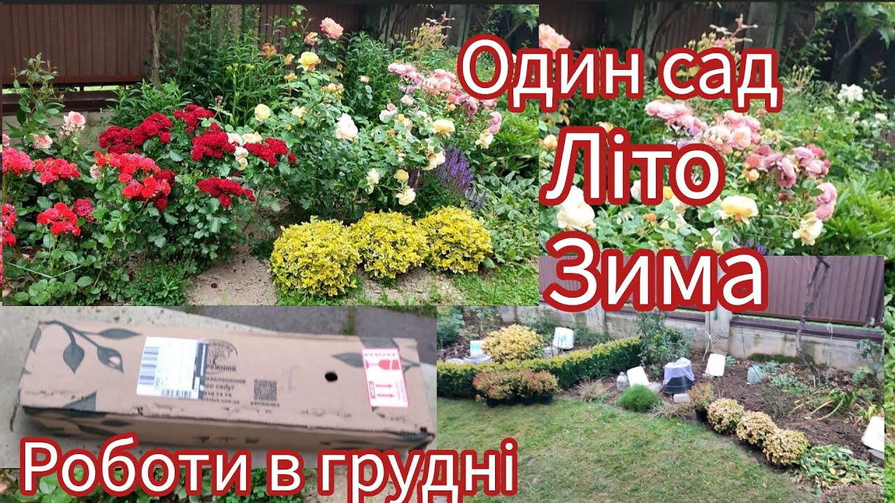 Літній розквіт і зимове лікування ґрунту: магія контрасту❄️🌸
