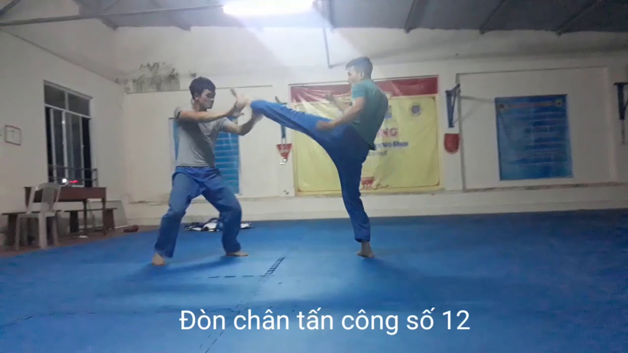 21 đòn chân tấn công Vovinam