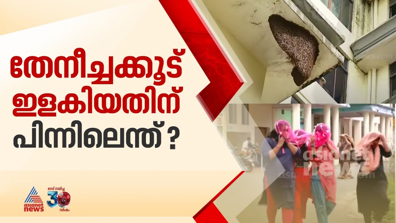 തിരുവനന്തപുരം കളക്ട്രേറ്റിൽ ഇന്നലെ തേനീച്ച കൂട് ഇളകാൻ കാരണമെന്ത്? | Thiruvananthapuram Collectorate