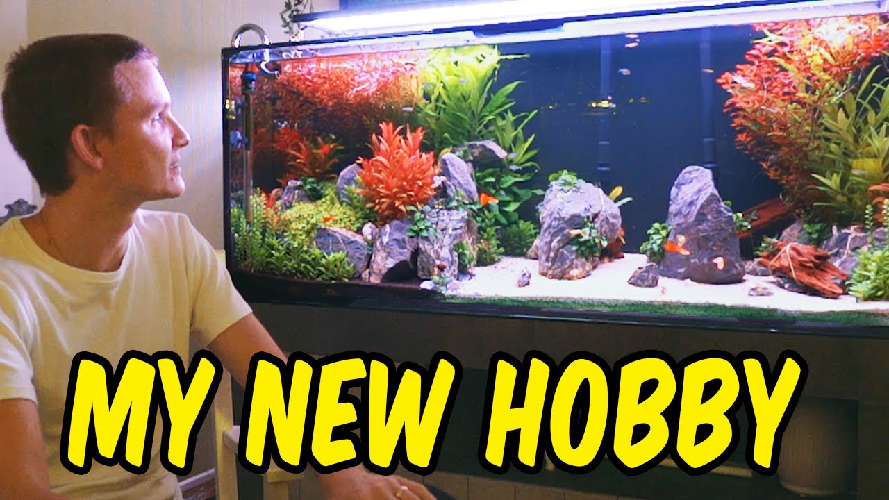 Teo's Aquarium Vlog :)