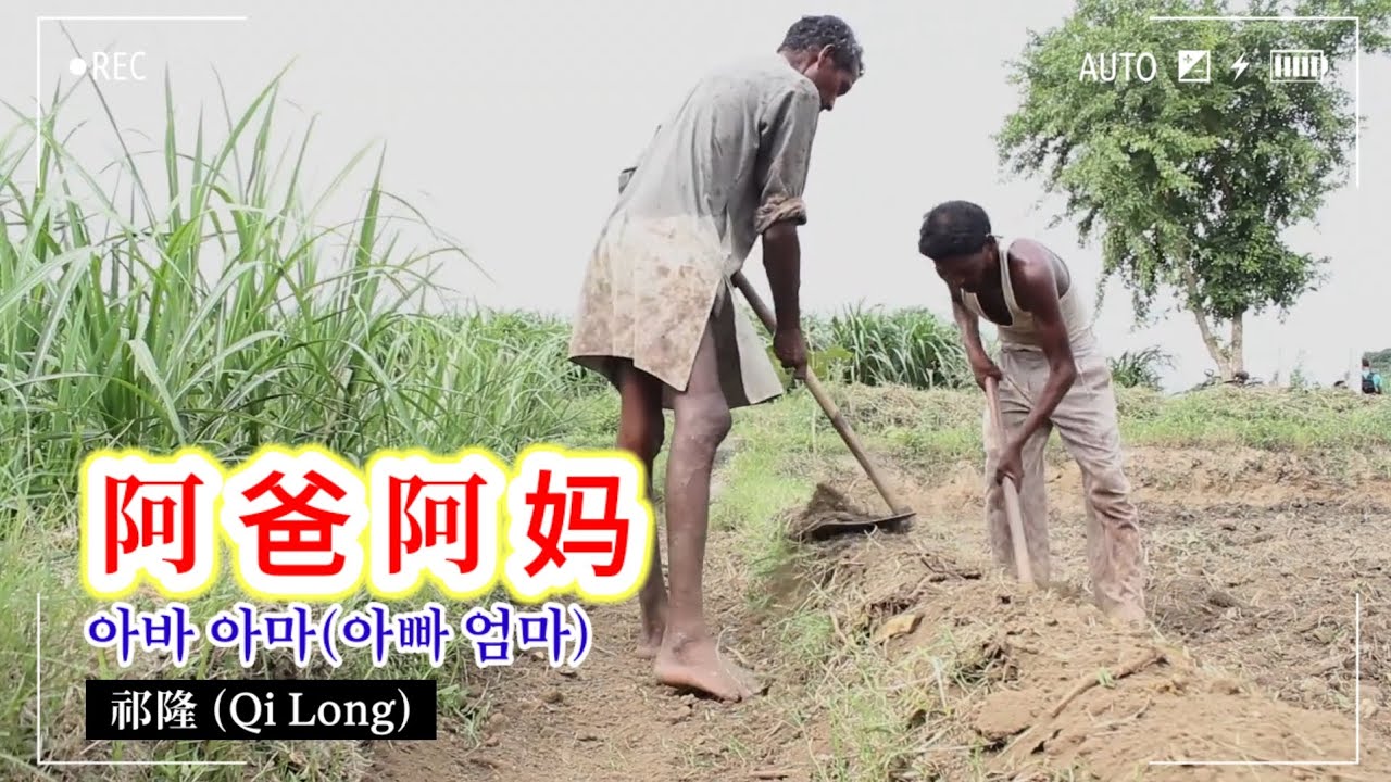 [옆길(국경없는 노래방). 83] 阿爸阿妈아바 아마 아빠 엄마 / 祁隆 Qí Lóng 치룽 @mrsyou
