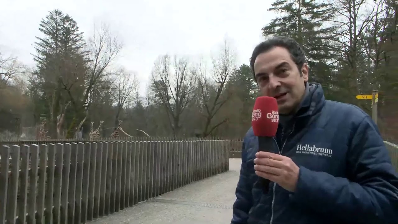 Virtuelle Führung mit Radio Gong im Tierpark Hellabrunn