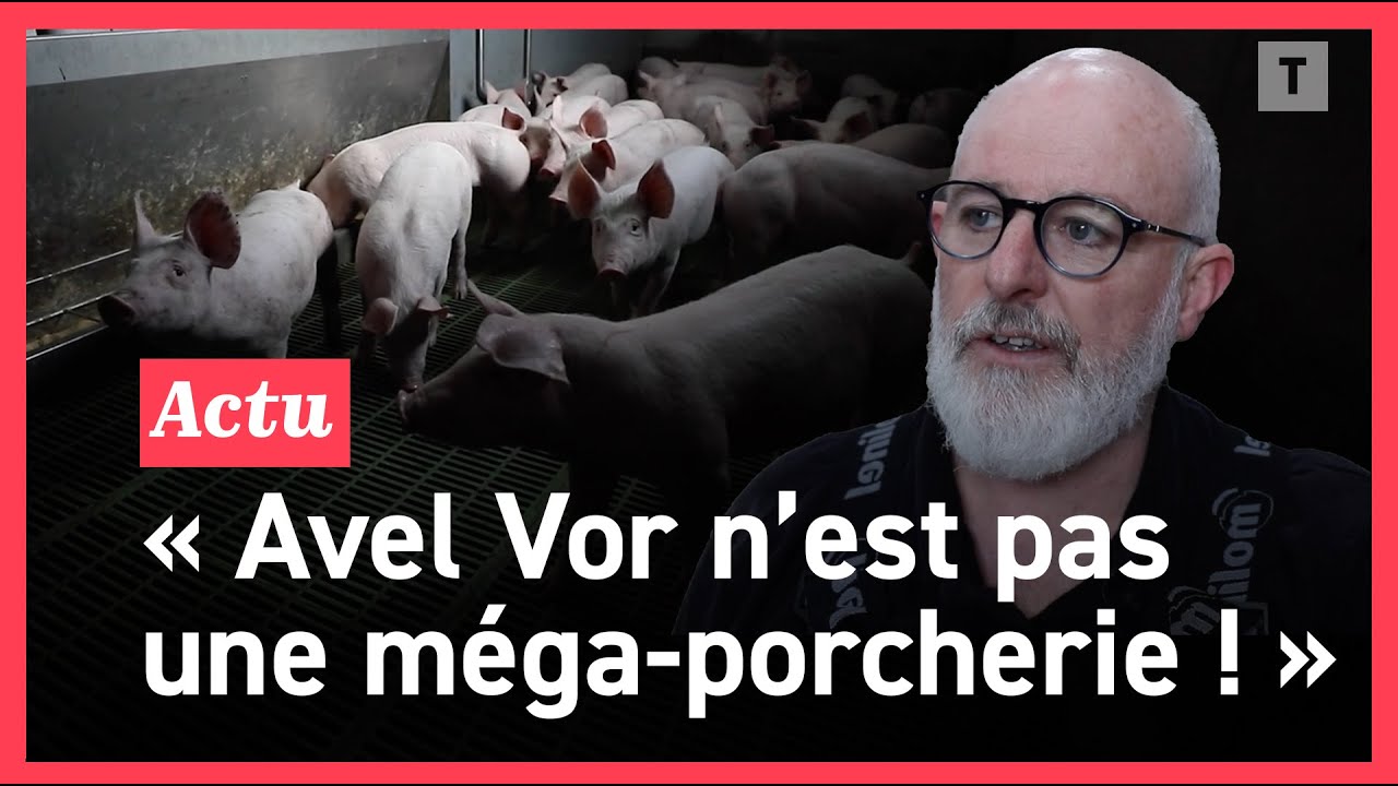 Sa porcherie attaquée devant la justice : cet éleveur breton se défend