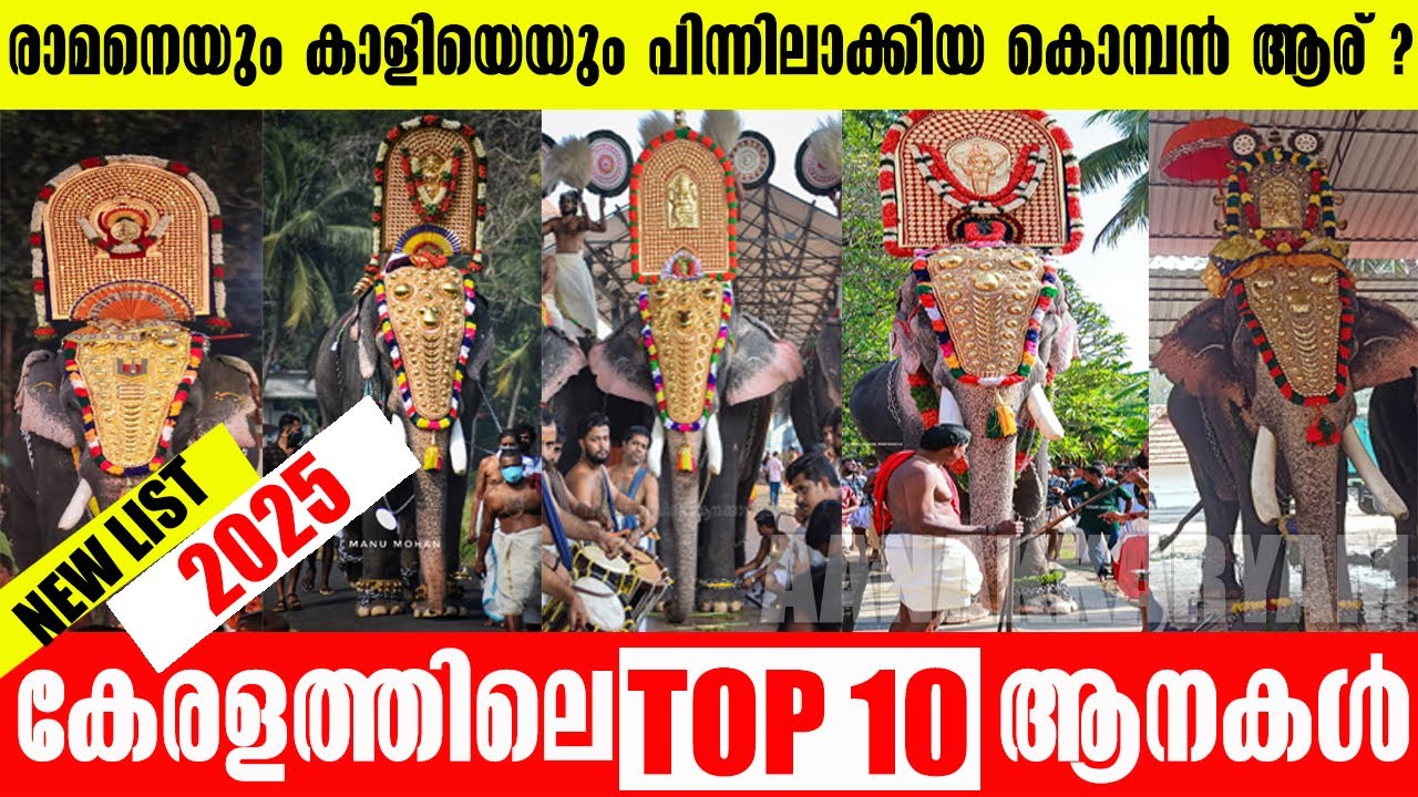 2025 ലെ Top 10 Popular Elephants in Kerala  | കേരളത്തിലെ ഏറ്റവും ഡിമാന്റ് ഉള്ള ആനകൾ | 2025 Malayalam