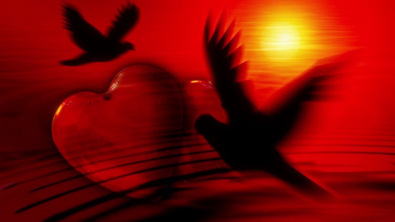 639 Hz: Die Frequenz der Versöhnung 🕊️ Heile deine Beziehungen & Lass los