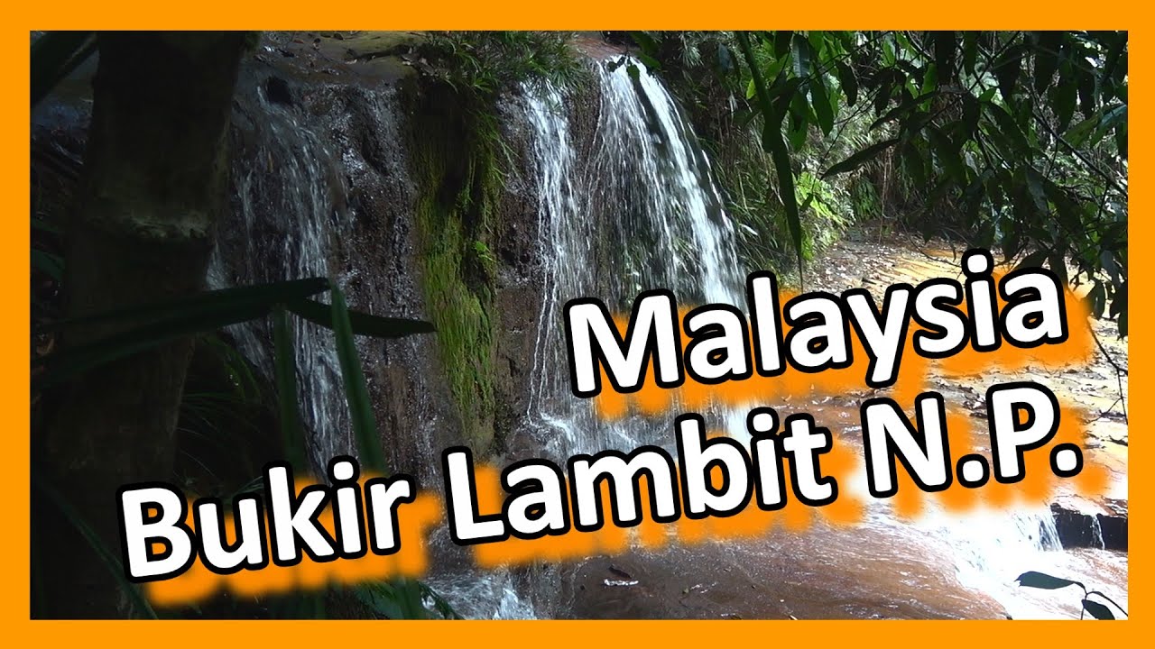 Malaysia - Sarawak - Bukit Lambir National Park