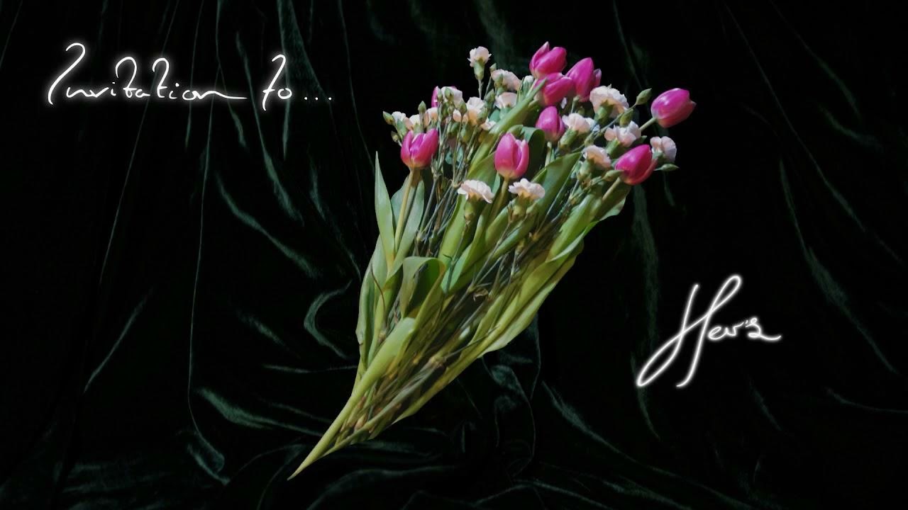 Harvey - Her's | Instrumental