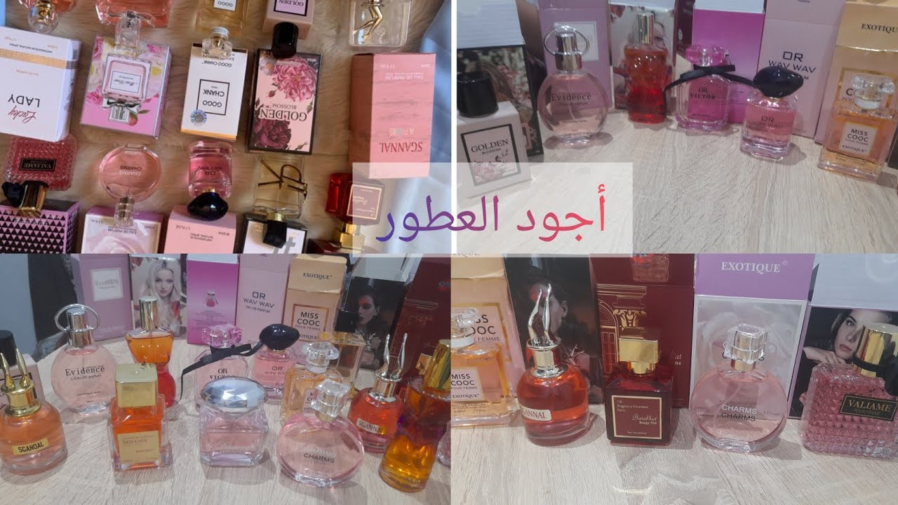 أجود العطور النسائية بأتمنة مناسبة 🛍️كلشي يسولك على ريحتك  top 10 Women's