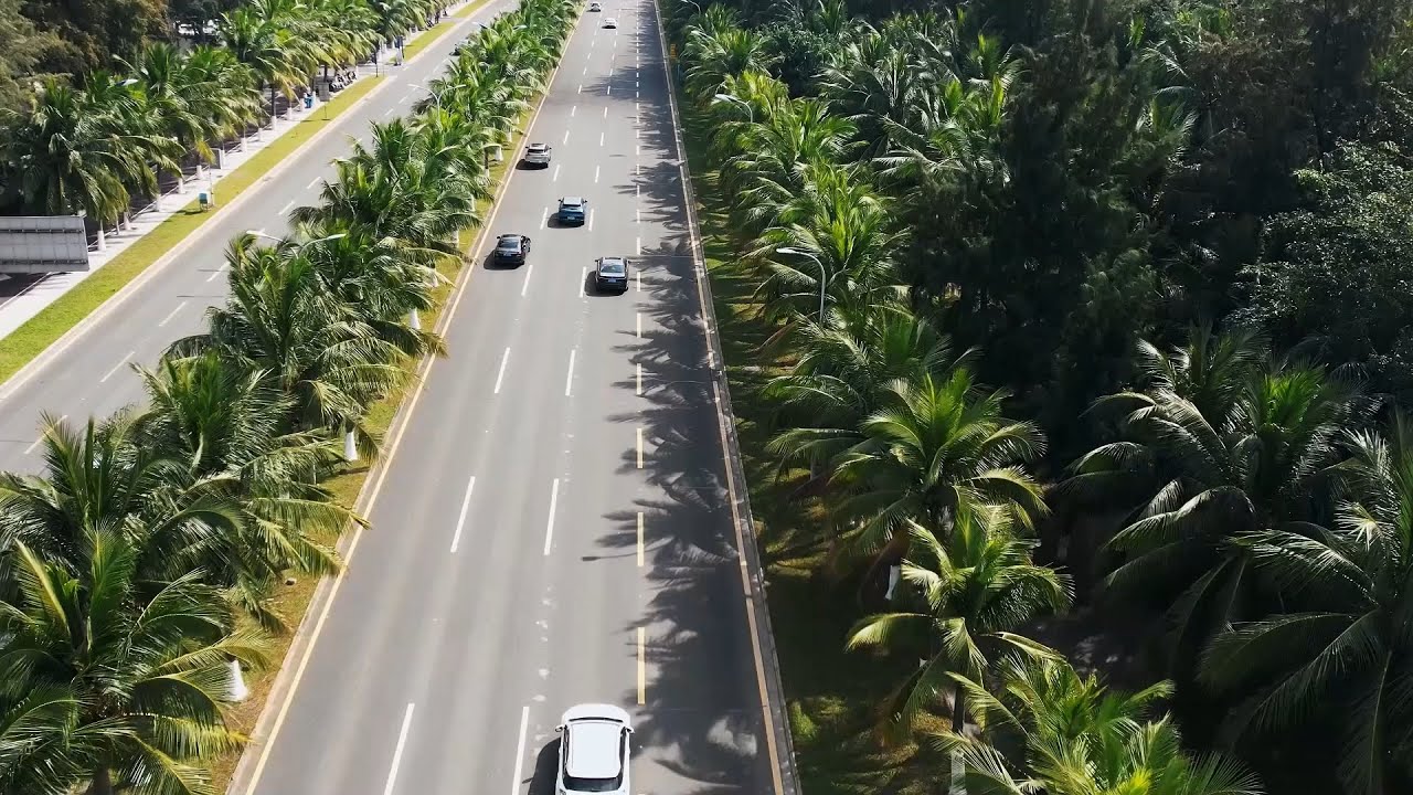GLOBALink | British photographer explores NEV development in China's Hainan
