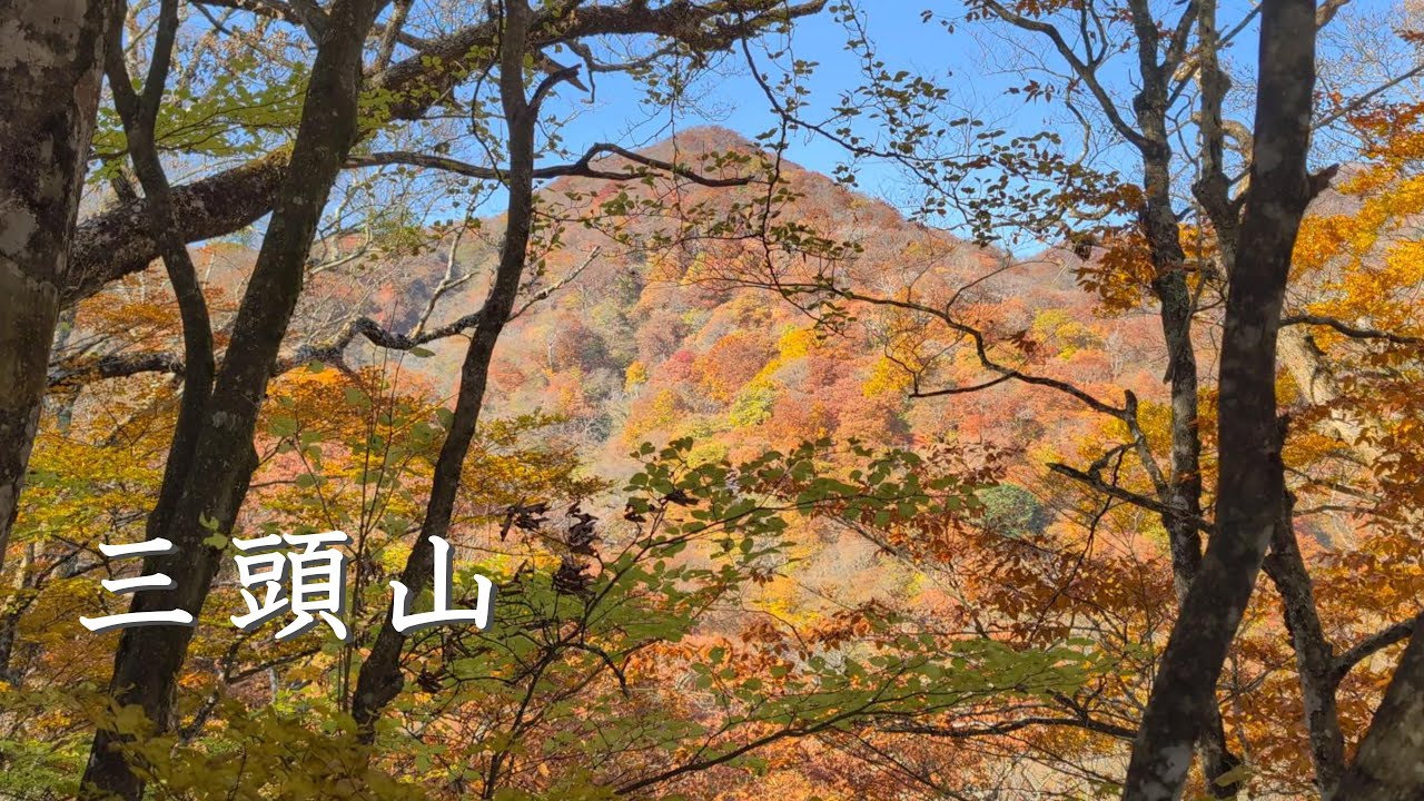 【三頭山】 檜原都民の森～三頭山～大沢山～三頭大滝 周回