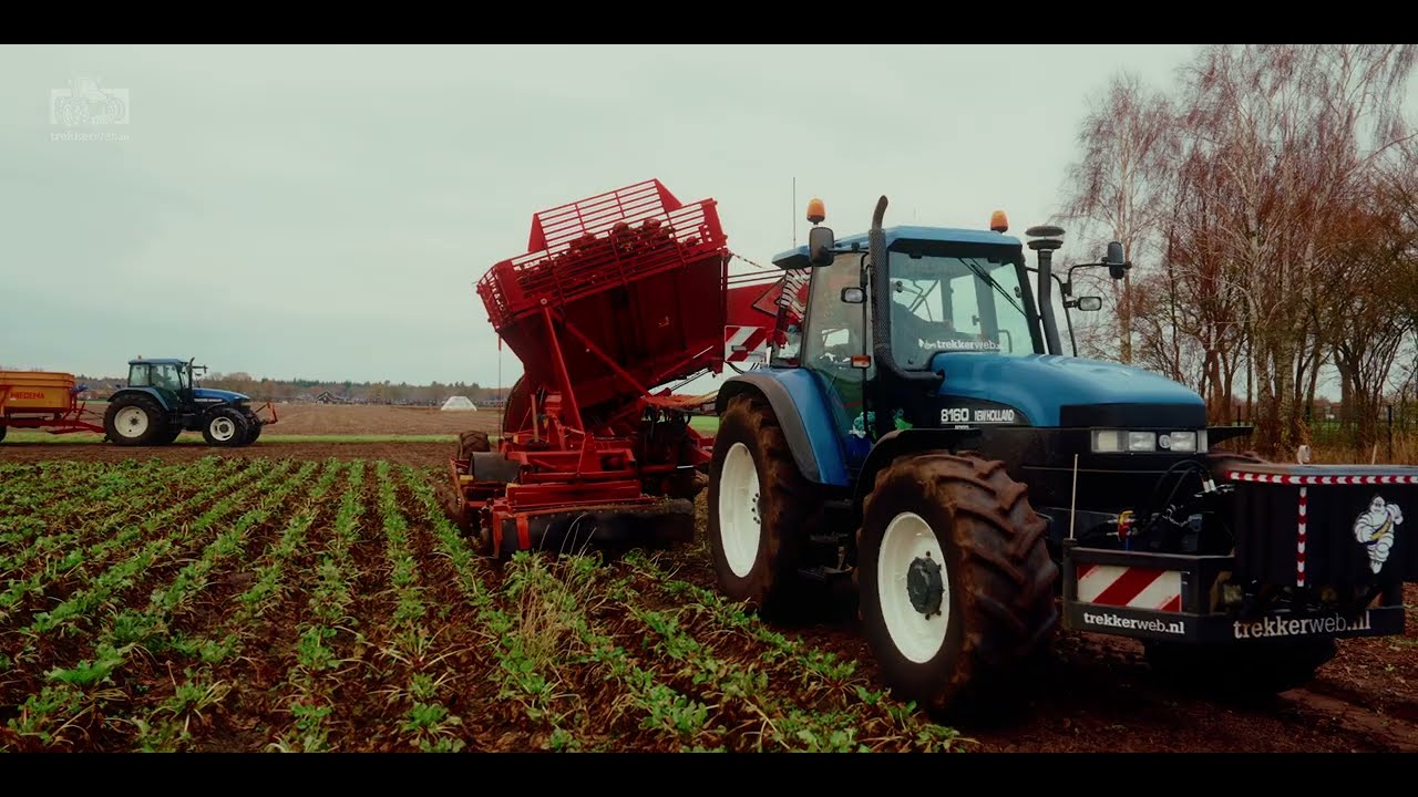 130 ton voederbieten rooien! Machines op de limiet | Ford New Holland 8160