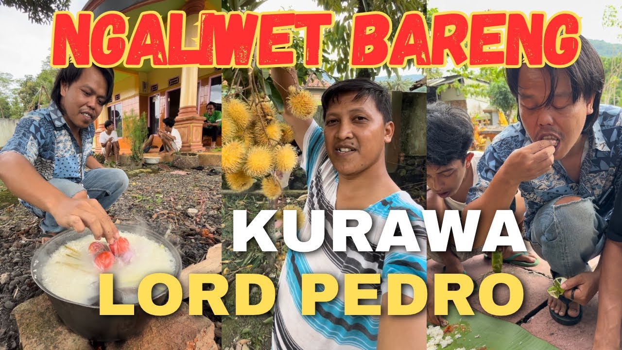 LORD PEDRO DAN KURAWA❗️NGALIWET SEDERHANA TAPI NIKMAT