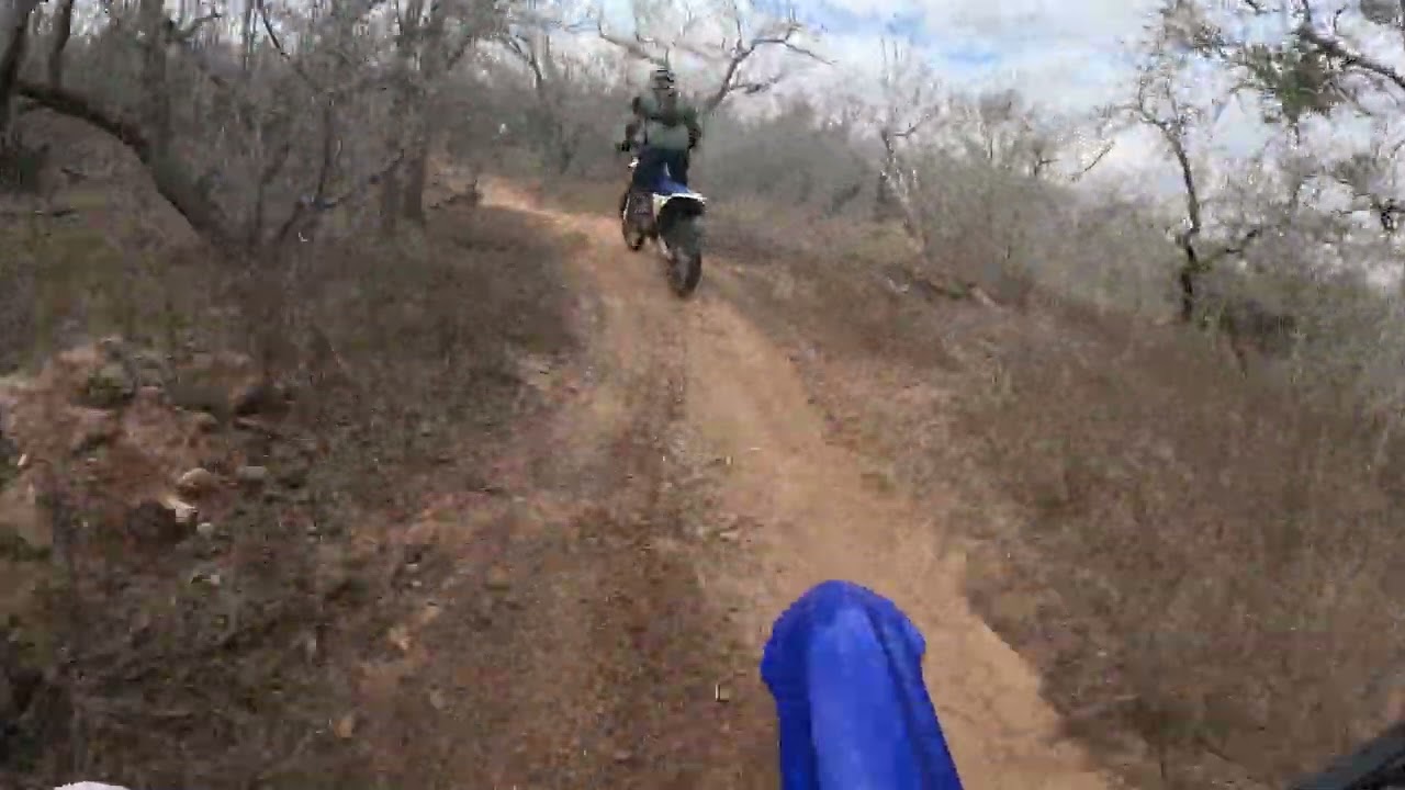 Torcs wild hare scramble team c class first 2 laps