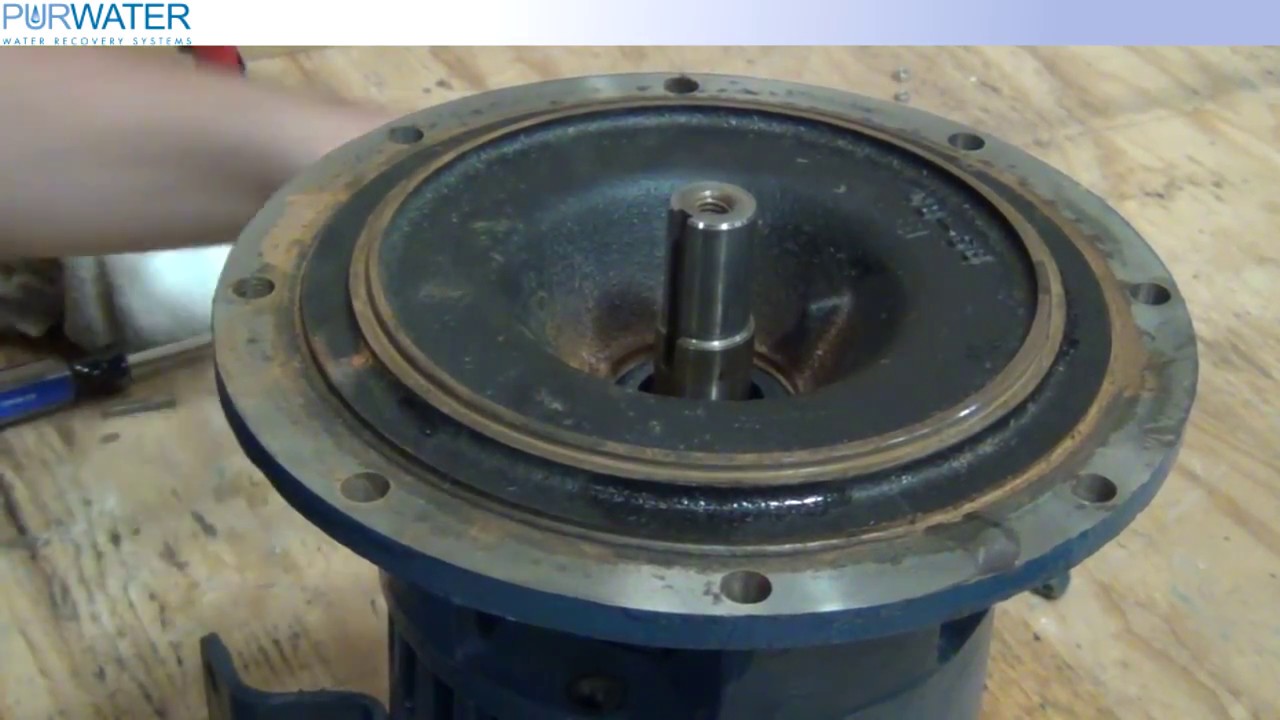 D Series Shaft Seal Replacement