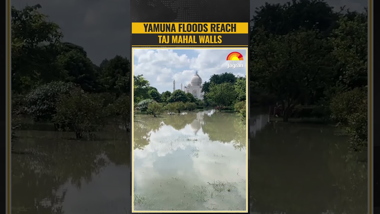 Rising Yamuna Floods Reach Taj Mahal Walls, Inundate Agra Riverbanks Homes | Viral Video