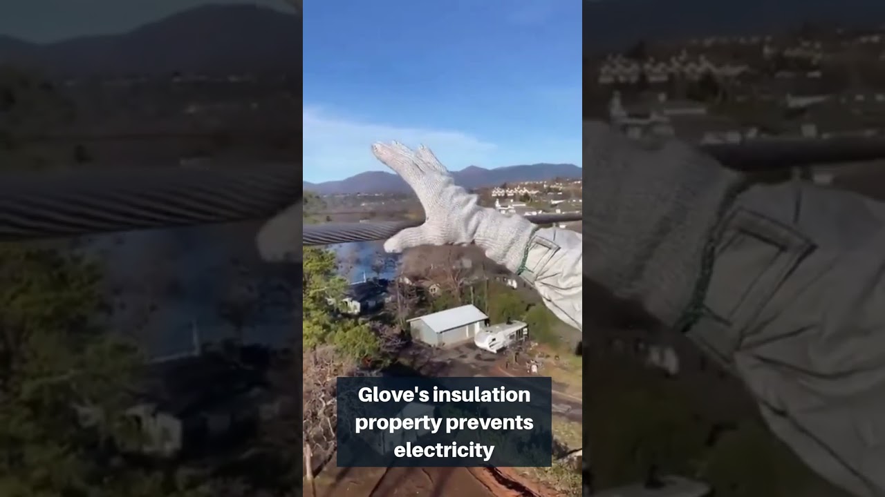 Grabbing high-voltage line with gloves ⚡️🧤 #fascinating