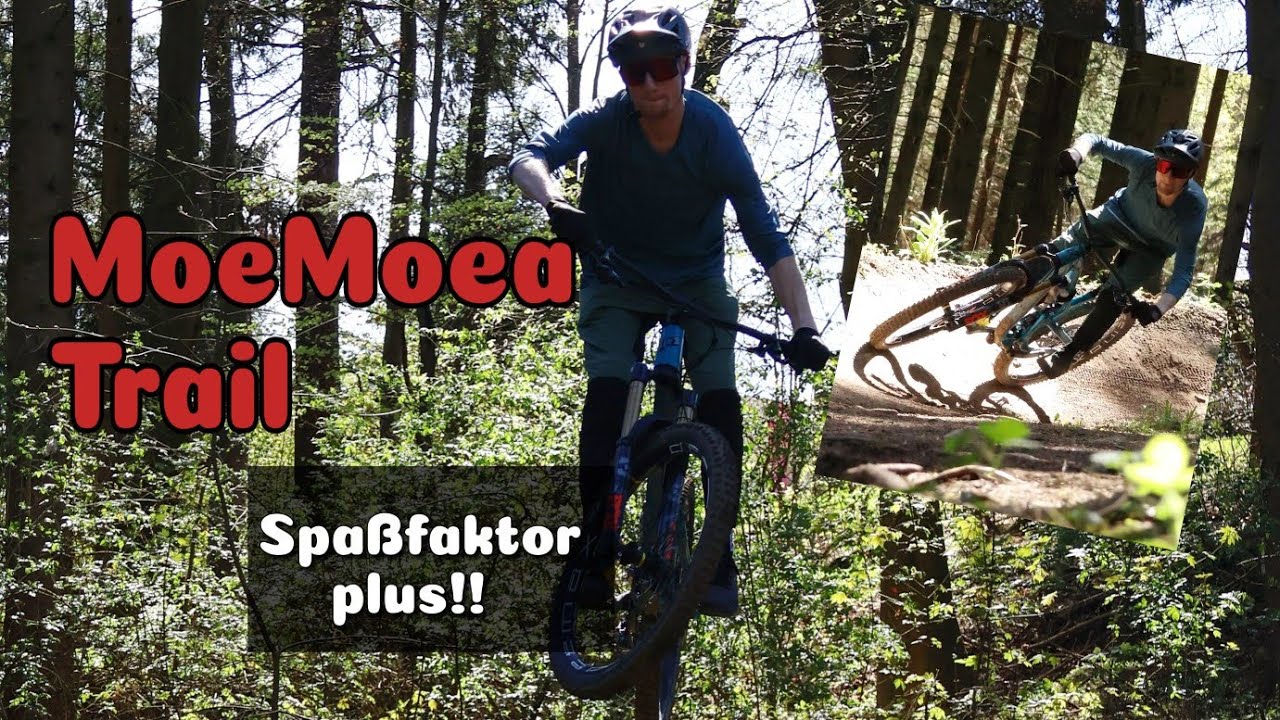 Auf diesem Trail ist Spaß angesagt!! | MoeMoea Trail Schwäbisch Gmünd | David Seifert MTB VLOG