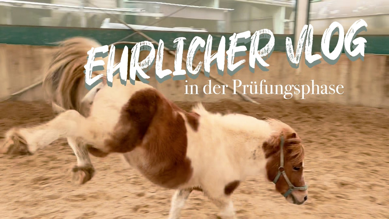 Zwischen Pferdestall & Prüfungsstress